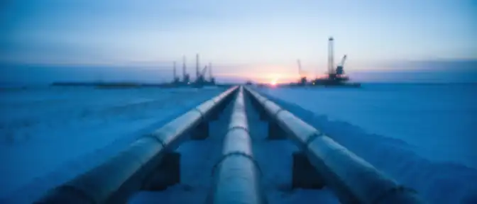 Расширение охвата газоснабжения охватило 73 субъекта Российской Федерации согласно заявлению Владимира Путина